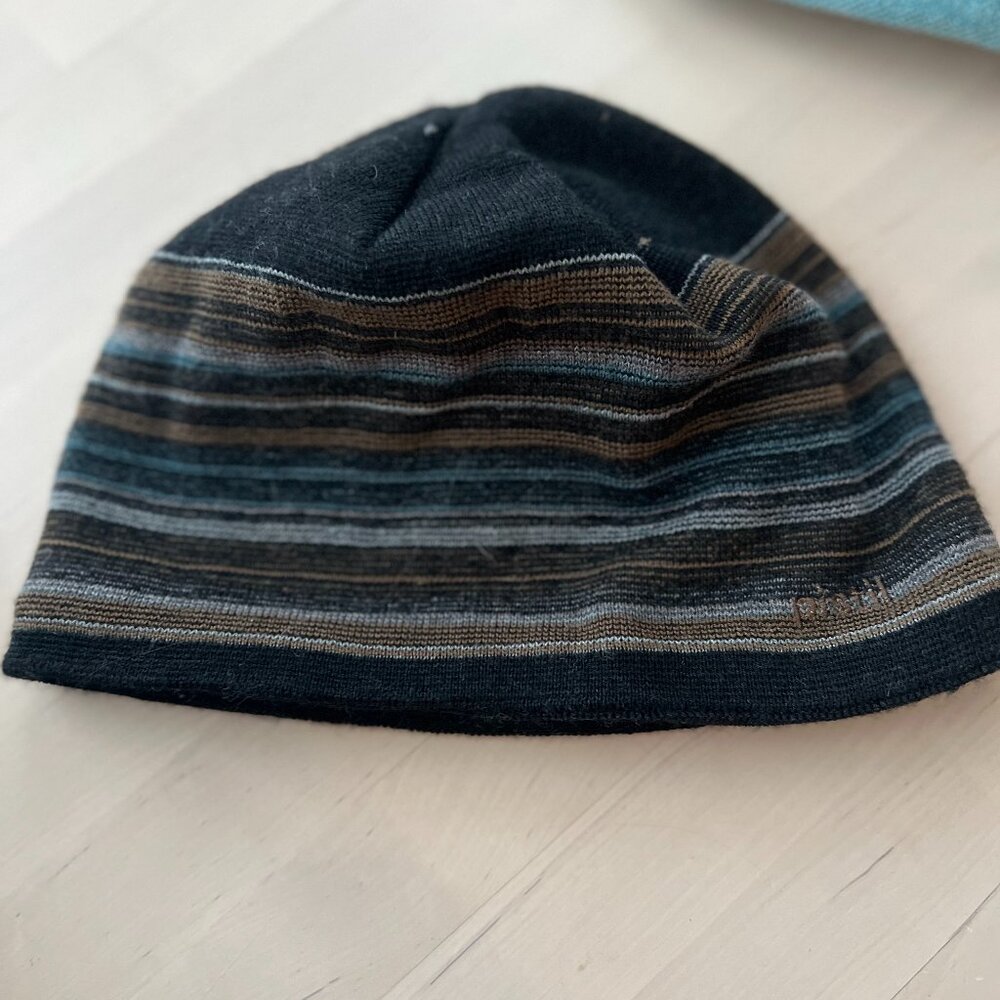 Pistil Beanie Mens